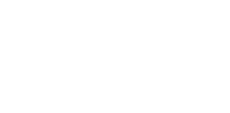 YOUNG TECH